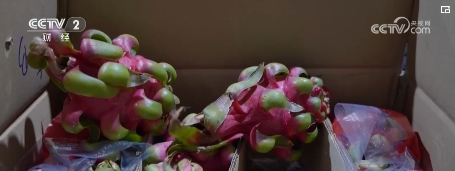 进口量持续增加 更多好物借贸易合作“东风”进入中国市场 进口量持续增加 更多好物借贸易合作“东风”进入中国市场