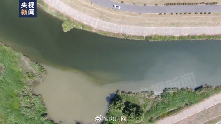 滁河南京段死鱼死虾仍在打捞 危化品起火污染物外泄致滁河水质异常