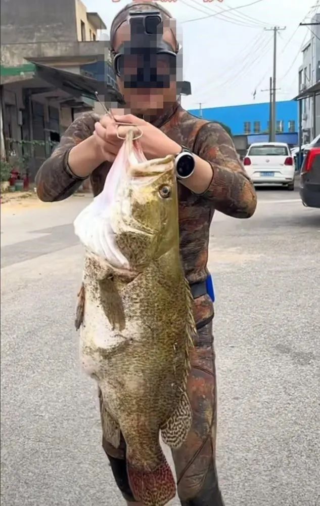 曾射过180斤大鱼的“高手”,被抓了! 曾射过180斤大鱼的“高手”,被抓了!