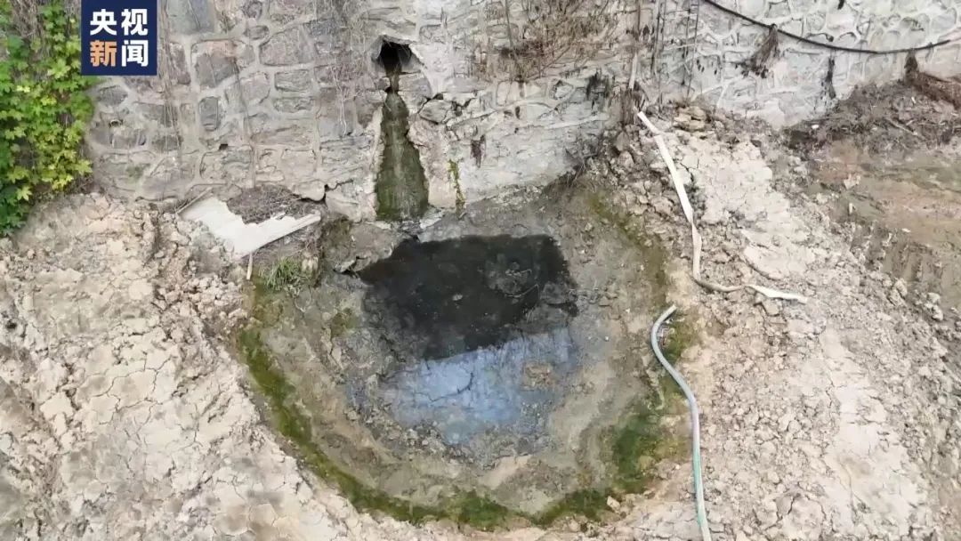 一线调查！恶臭熏天、大量鱼虾死亡，这条长江支流怎么了？