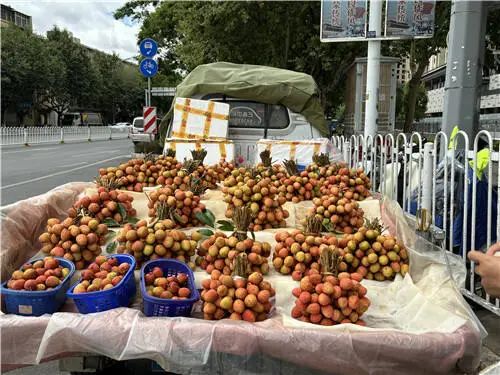 每公斤价格比往年高10元！今年“荔枝自由”难了