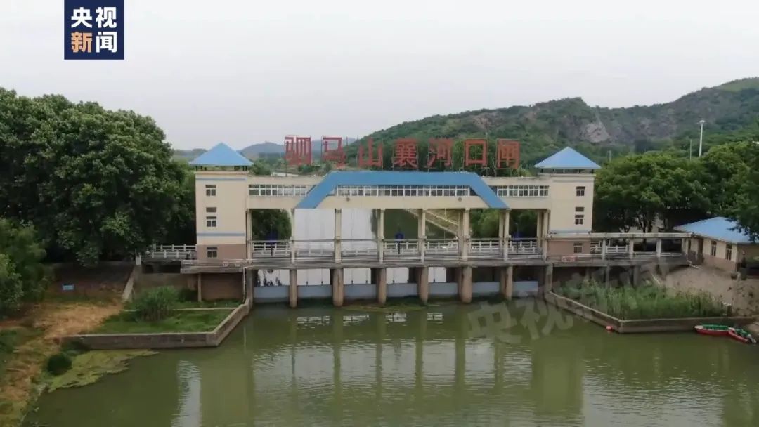 恶臭熏天、鱼虾死亡!总台记者追踪滁河污染真相→ 恶臭熏天、鱼虾死亡!总台记者追踪滁河污染真相→