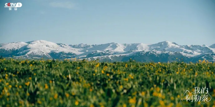 阿勒泰火出圈后,网友开始为这一点操心 阿勒泰火出圈后,网友开始为这一点操心