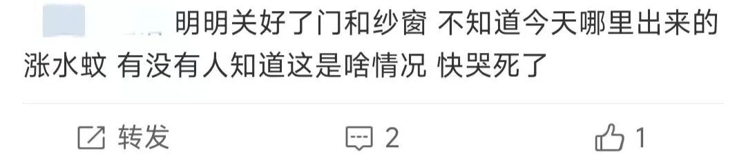 比暴雨还可怕!这东西正“空袭”重庆,很多人都崩溃了…… 比暴雨还可怕!这东西正“空袭”重庆,很多人都崩溃了……