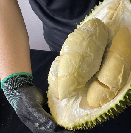 深圳地铁可以带榴莲吗? 深圳地铁可以带榴莲吗?