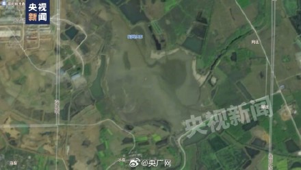 滁河南京段死鱼死虾仍在打捞 危化品起火污染物外泄致滁河水质异常