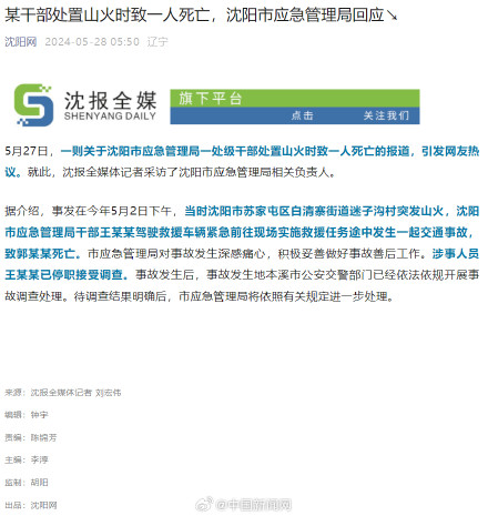 沈阳回应干部处置山火时致一人死亡 沈阳回应干部处置山火时致一人死亡