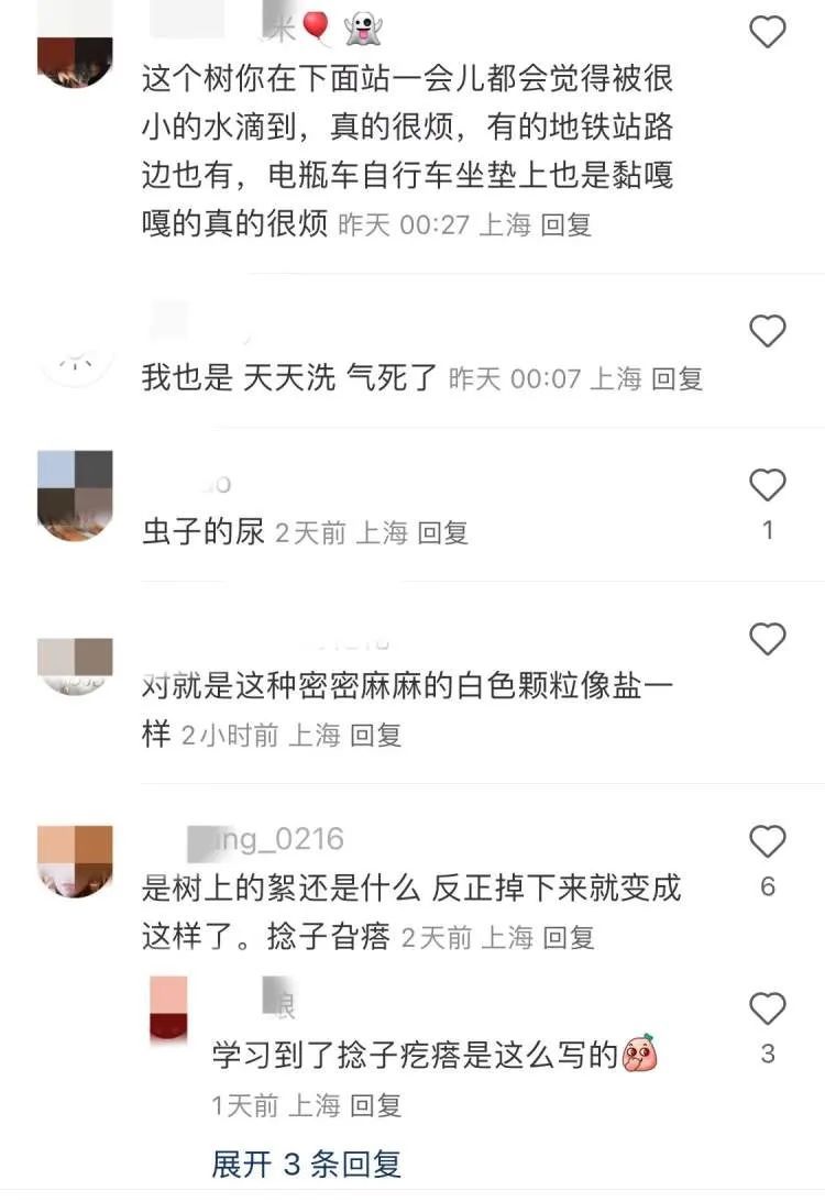 上海近期高发!到处“黏哒哒”,单车汽车都中招,真凶竟是→ 上海近期高发!到处“黏哒哒”,单车汽车都中招,真凶竟是→