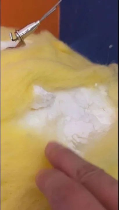 广美毕业展又遭破坏! 广美毕业展又遭破坏!