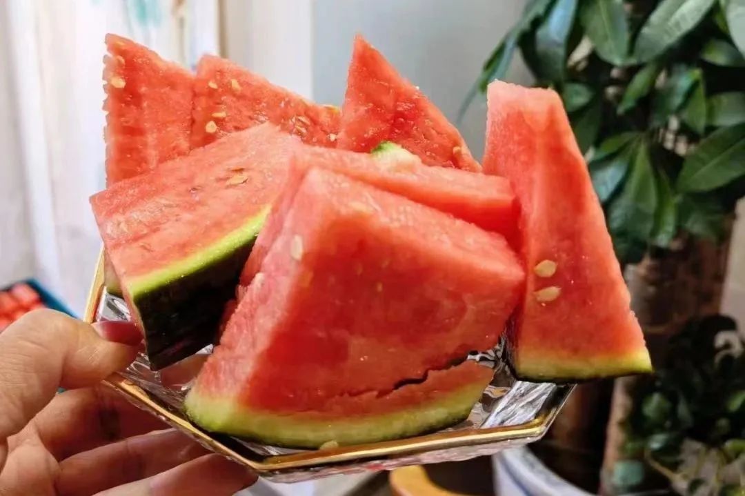 西瓜熟啦！快来北京这些地方采摘今夏第一颗瓜——