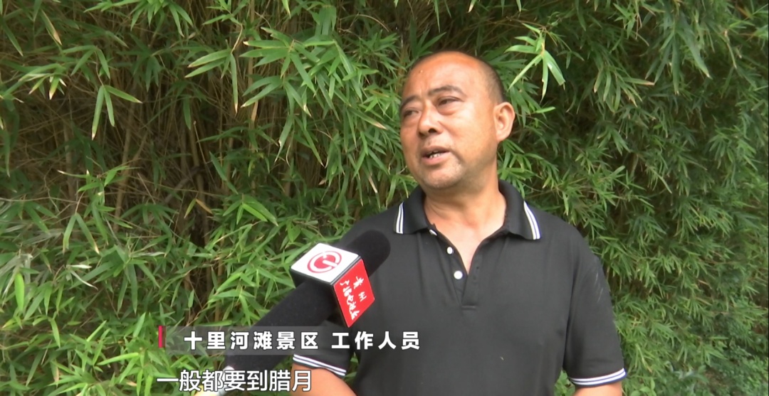 贵阳这个知名景区又遇上福寿螺繁殖季！公园管理处：福寿螺天敌已就位