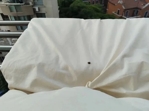 上海一小区频现高空抛烟头!禁令通知也被烫出洞,业主:就是挑衅 上海一小区频现高空抛烟头!禁令通知也被烫出洞,业主:就是挑衅