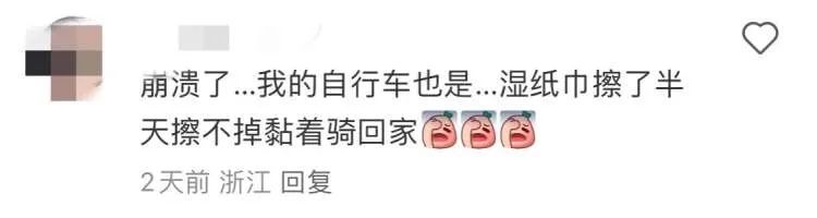 上海近期高发!到处“黏哒哒”,单车汽车都中招,真凶竟是→ 上海近期高发!到处“黏哒哒”,单车汽车都中招,真凶竟是→