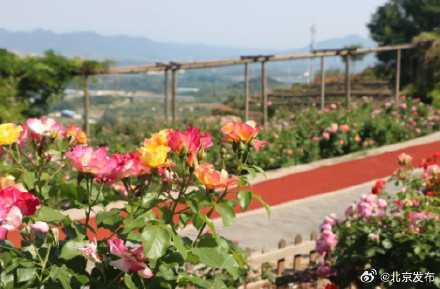 收藏！北京放风筝宝藏地 ，这里全年都适宜——