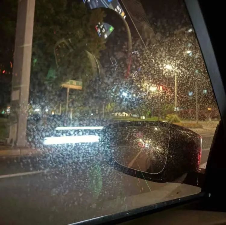 上海近期高发!到处“黏哒哒”,单车汽车都中招,真凶竟是→ 上海近期高发!到处“黏哒哒”,单车汽车都中招,真凶竟是→