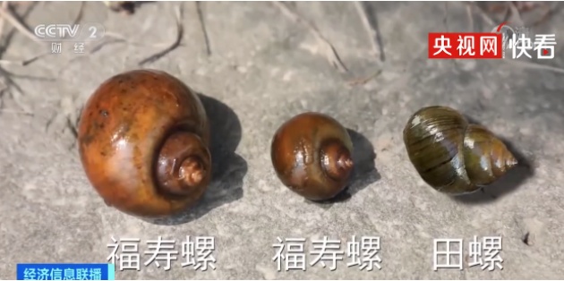 南昌已出现！紧急提醒！