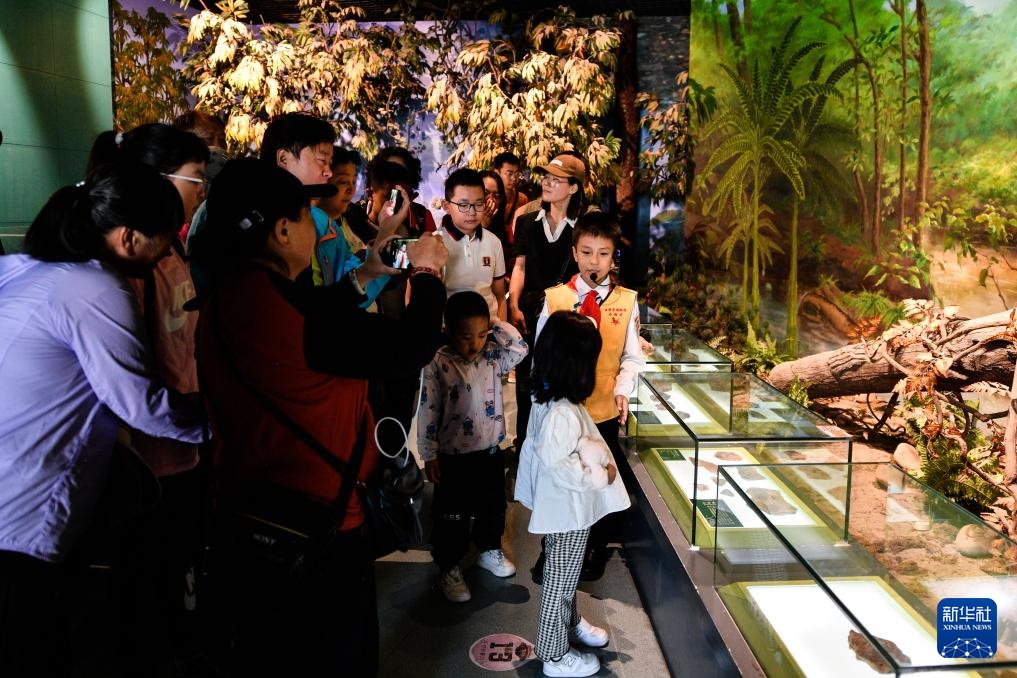 了不起的童年丨这个小小讲解员为何“一讲成名”？