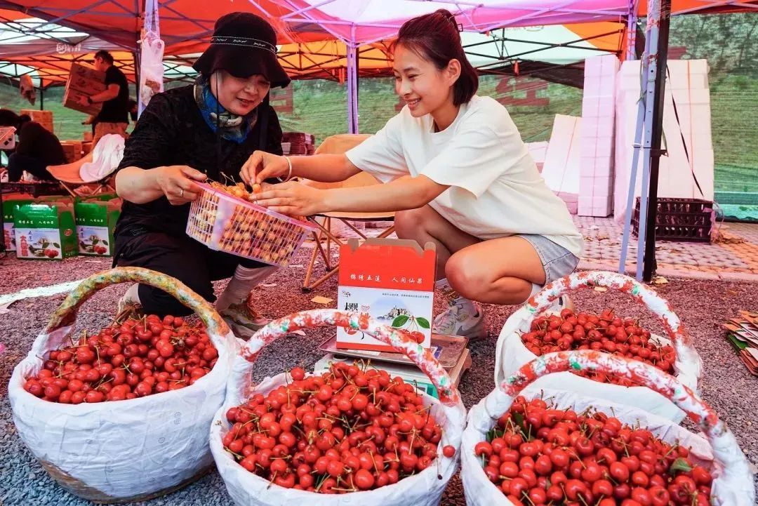 价格腰斩!预计还会再跌 价格腰斩!预计还会再跌
