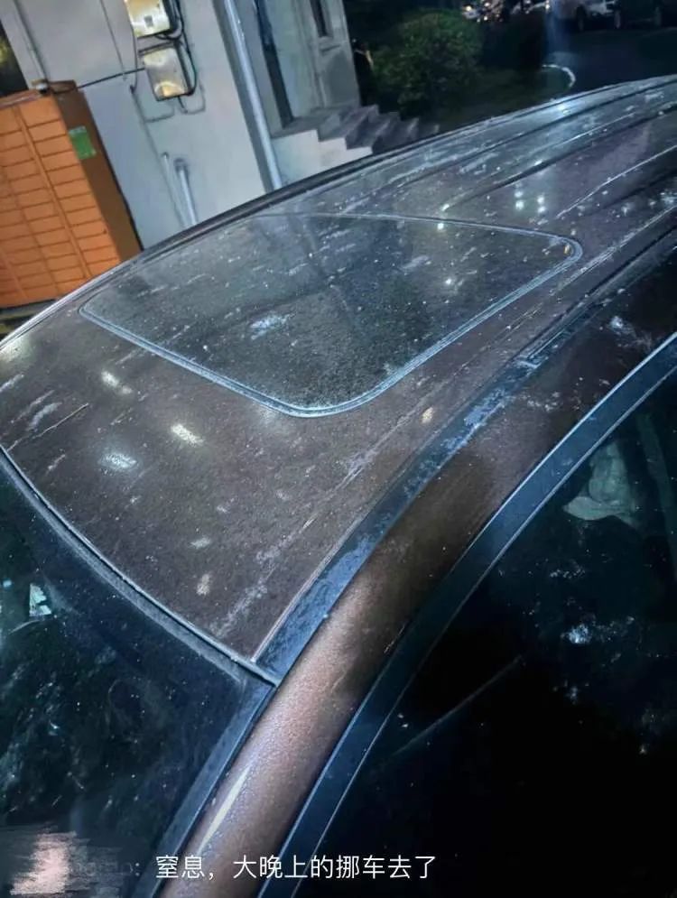 上海近期高发!到处“黏哒哒”,单车汽车都中招,真凶竟是→ 上海近期高发!到处“黏哒哒”,单车汽车都中招,真凶竟是→