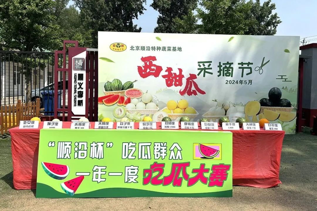 西瓜熟啦！快来北京这些地方采摘今夏第一颗瓜——