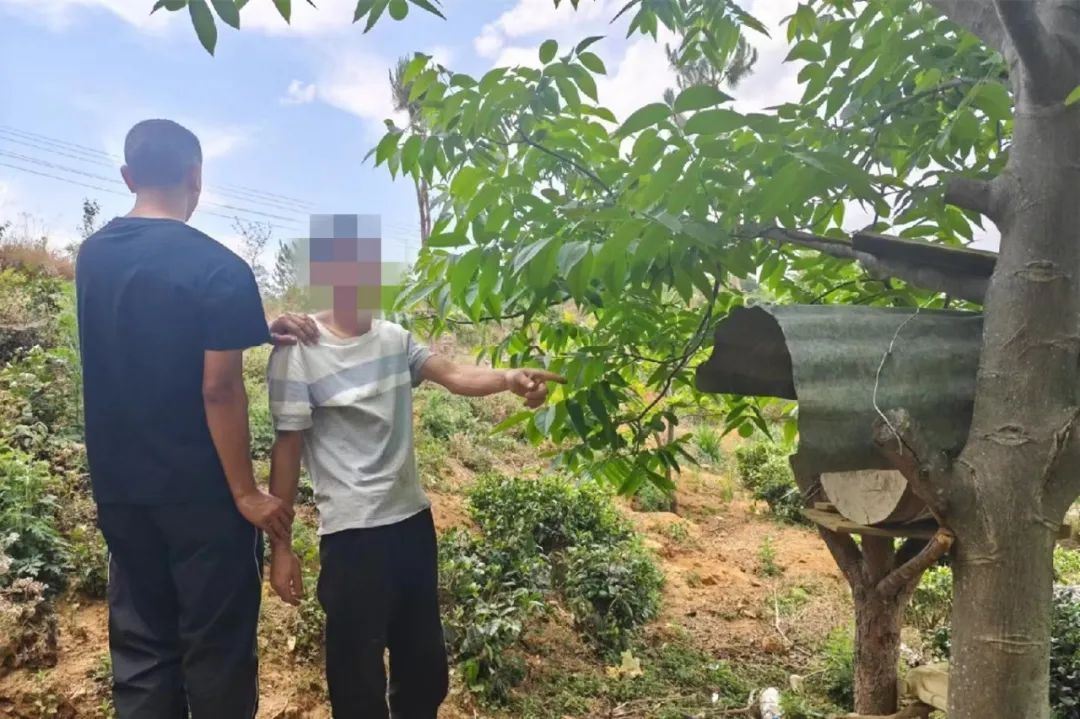 现实版“熊出没” ！男子为吃“蜂”狂 终尝苦果