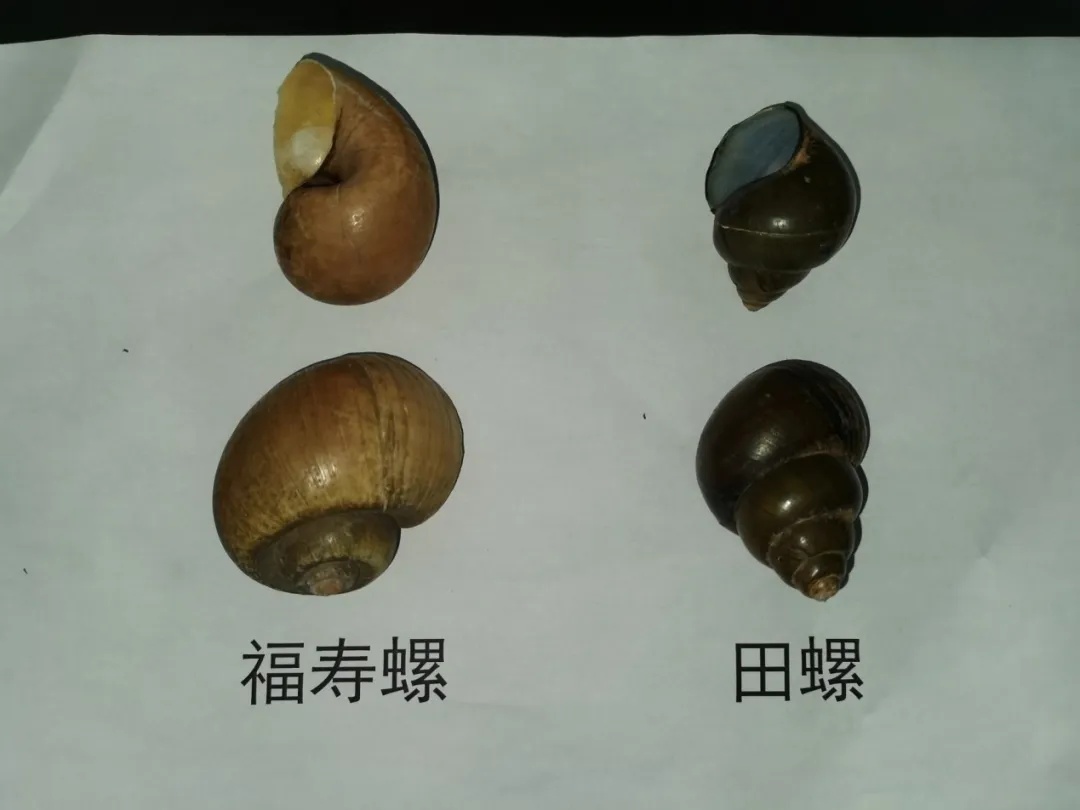 南昌已出现！紧急提醒！