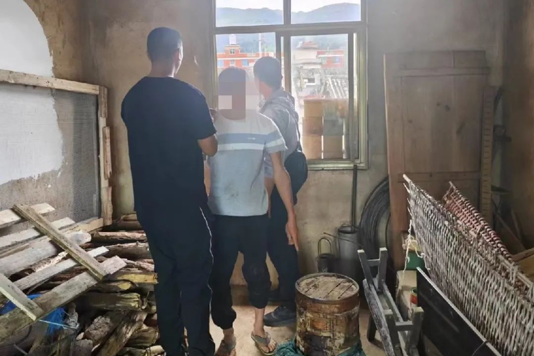 现实版“熊出没” ！男子为吃“蜂”狂 终尝苦果