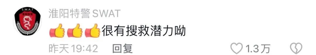 流浪狗刨土救出小奶猫，网友：这是狗狗侠