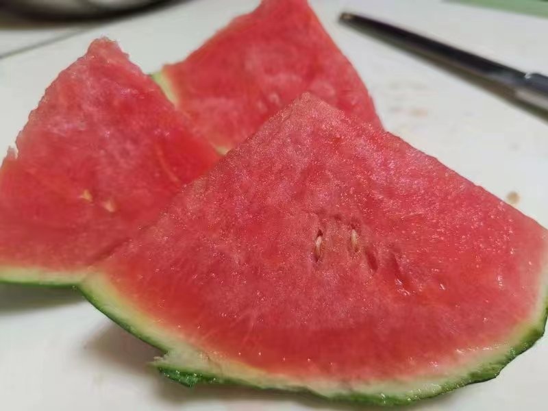 西瓜熟啦！快来北京这些地方采摘今夏第一颗瓜——