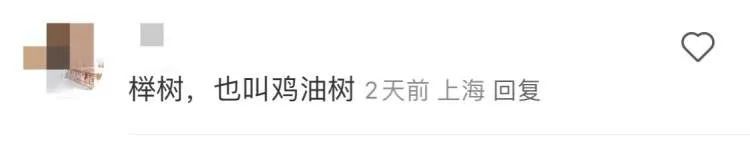 上海近期高发!到处“黏哒哒”,单车汽车都中招,真凶竟是→ 上海近期高发!到处“黏哒哒”,单车汽车都中招,真凶竟是→