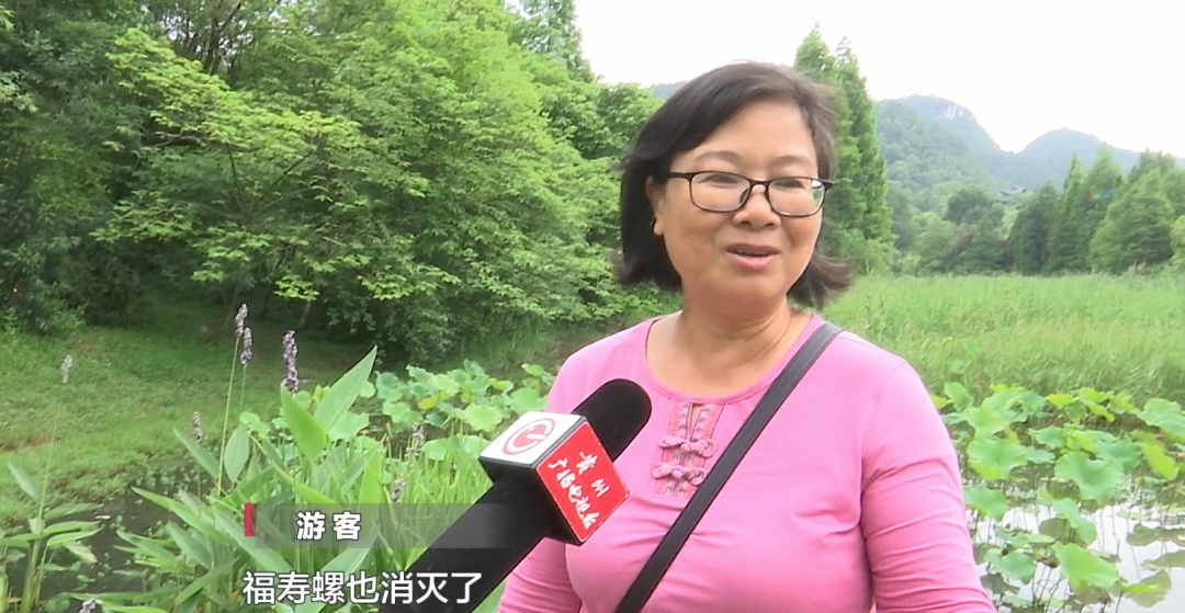 贵阳这个知名景区又遇上福寿螺繁殖季！公园管理处：福寿螺天敌已就位