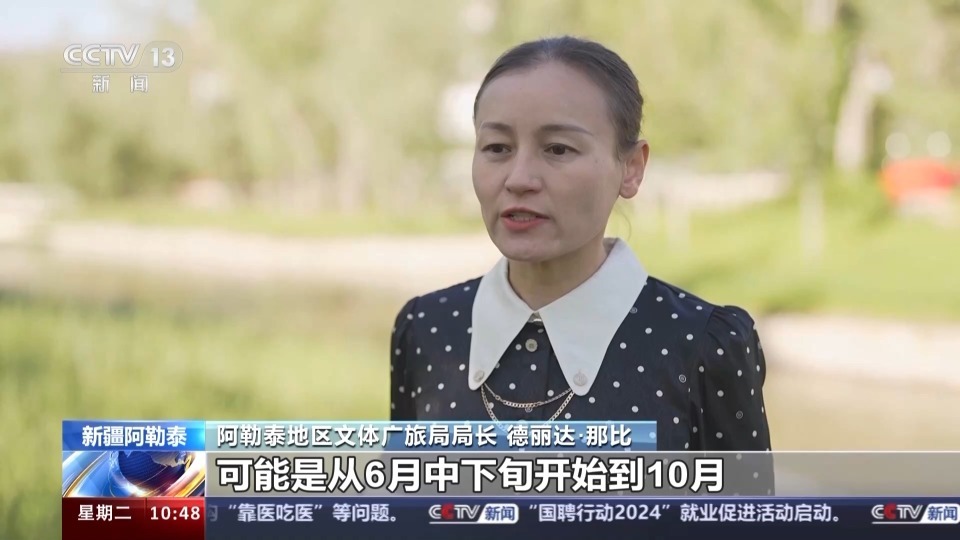 一部剧带火一座城,阿勒泰旅游旺季今年已提前开启 一部剧带火一座城,阿勒泰旅游旺季今年已提前开启