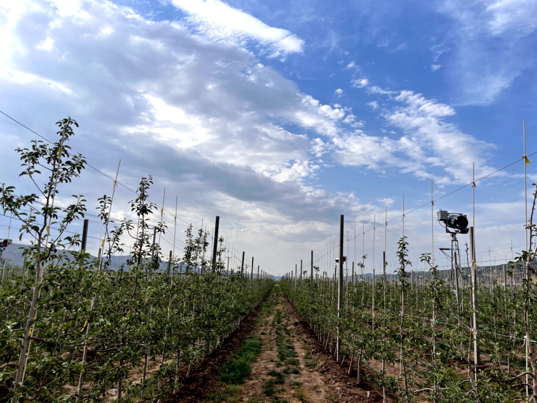 甘肃平凉:金融“活水”助力乡村产业发展 甘肃平凉:金融“活水”助力乡村产业发展