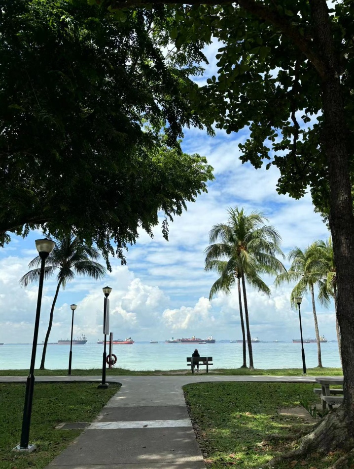 大学生29天从上海坐公交到新加坡？当事人：花费不到三千，有些路程坐火车