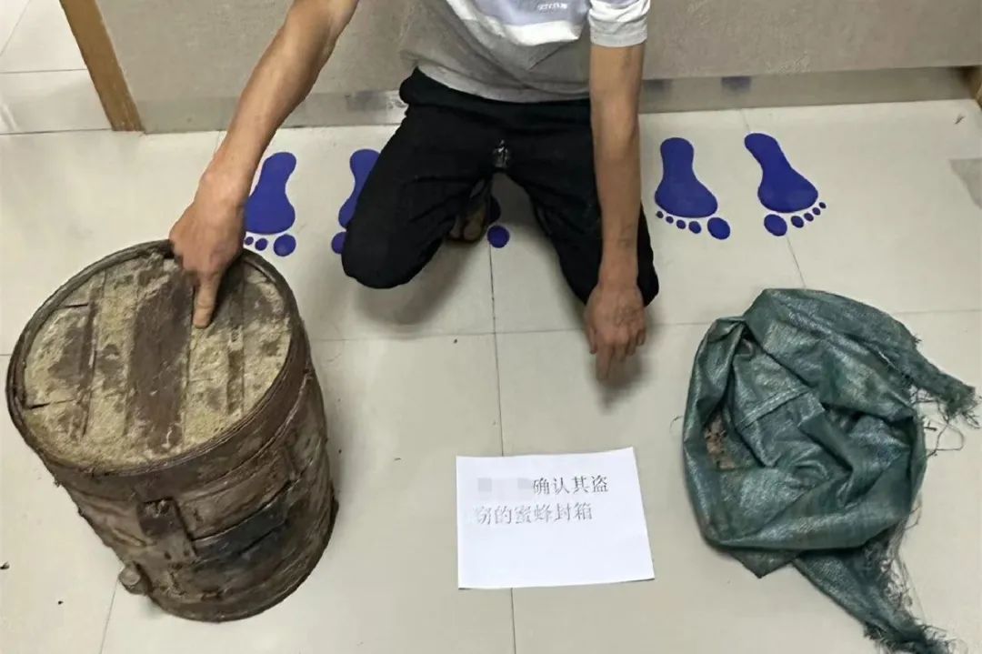 现实版“熊出没” ！男子为吃“蜂”狂 终尝苦果