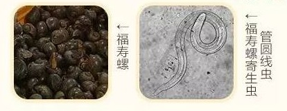 南昌已出现！紧急提醒！