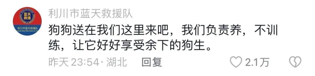 流浪狗刨土救出小奶猫，网友：这是狗狗侠