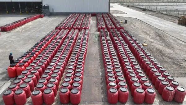 新疆这种“黄金叶”,远销欧洲40余国! 新疆这种“黄金叶”,远销欧洲40余国!