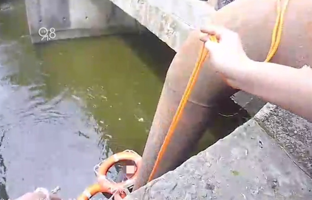 太离谱,杭州男子突然跳河,原因谁也没想到...... 太离谱,杭州男子突然跳河,原因谁也没想到......