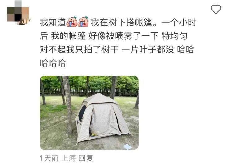 上海近期高发!到处“黏哒哒”,单车汽车都中招,真凶竟是→ 上海近期高发!到处“黏哒哒”,单车汽车都中招,真凶竟是→