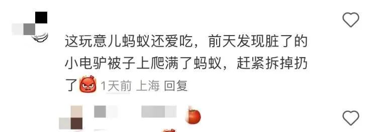 上海近期高发!到处“黏哒哒”,单车汽车都中招,真凶竟是→ 上海近期高发!到处“黏哒哒”,单车汽车都中招,真凶竟是→