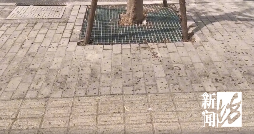 上海街头这些不明粘液是啥?很多人都踩到了 上海街头这些不明粘液是啥?很多人都踩到了