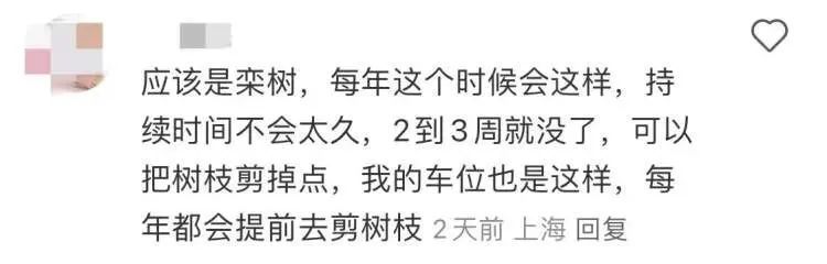 近期上海街头频现！很多人都踩到了，根本擦不干净...不明粘液究竟是什么？