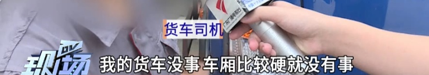 小心“天降”巨叶!广东有车主中招了 小心“天降”巨叶!广东有车主中招了