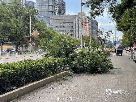 北京大部现8至10级短时大风 疾风骤雨后街头“凌乱” 北京大部现8至10级短时大风 疾风骤雨后街头“凌乱”
