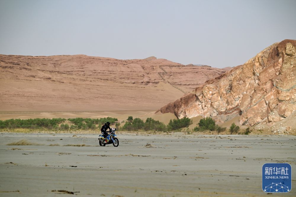 赛车 | 2024年环塔拉力赛第七赛段赛况