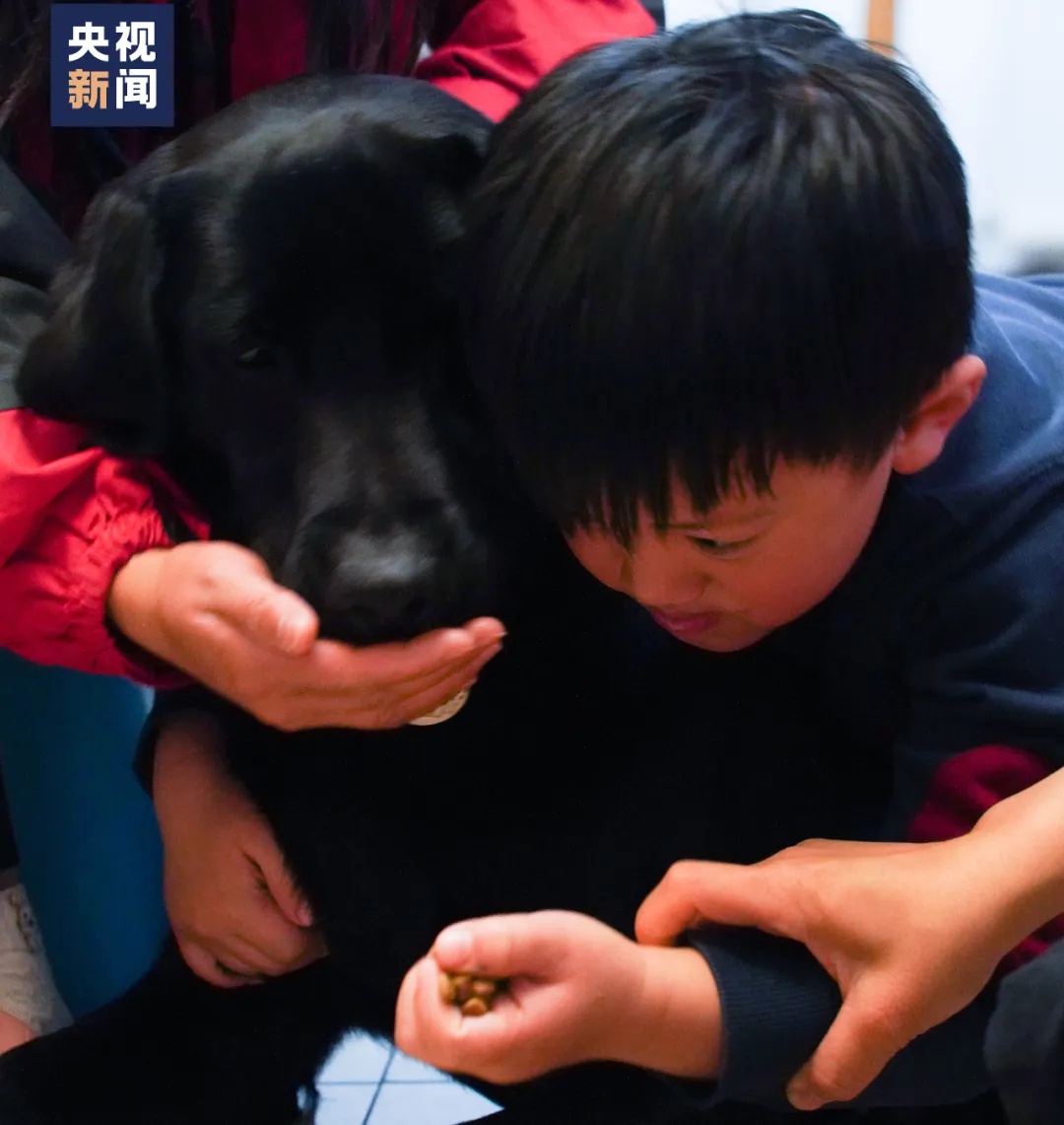 哈利、伊莉、哈雷，解锁新任务！