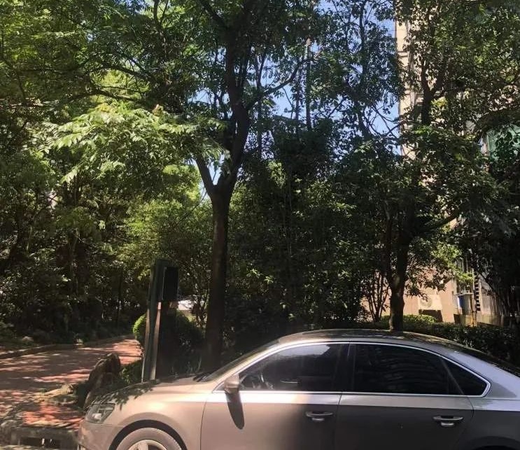 近期上海街头频现！很多人都踩到了，根本擦不干净...不明粘液究竟是什么？