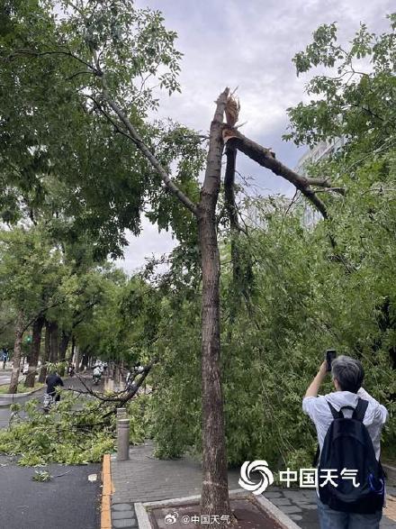 北京大部现8至10级短时大风 疾风骤雨后街头“凌乱” 北京大部现8至10级短时大风 疾风骤雨后街头“凌乱”
