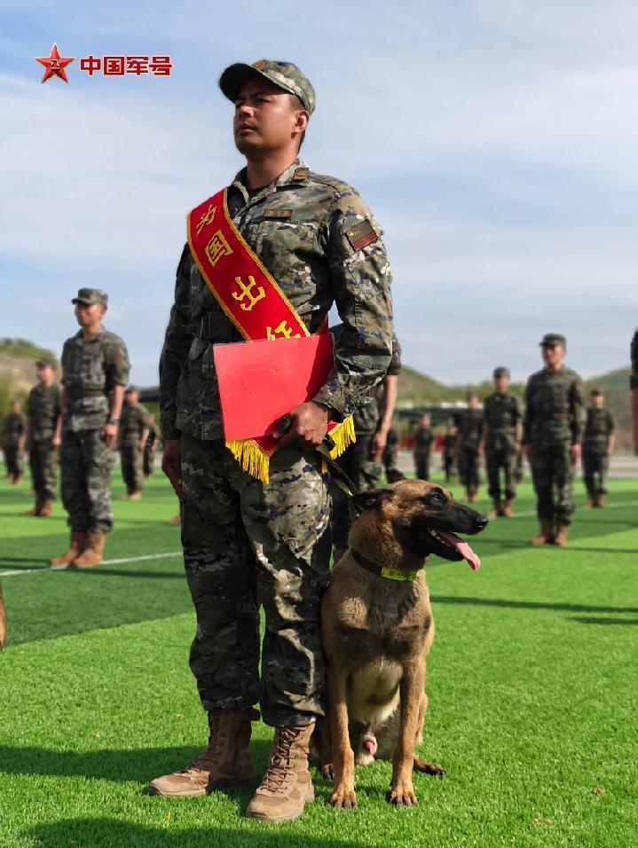 为国出征，“黄金搭档”简历大揭秘